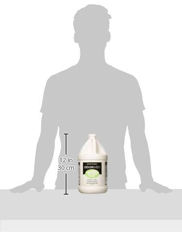 Odormed Deodorizer (1 Gallon)