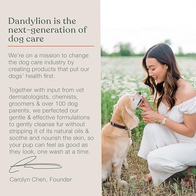 Dandylion Clean Paws | No-Rinse Dog Paw Cleaner & Dog Paw Washer | Gentle, Fragrance-Free, pH Balanced Foaming Cleanser with Silicone Bristle Brush | Safe for All Dogs | 5 fl oz