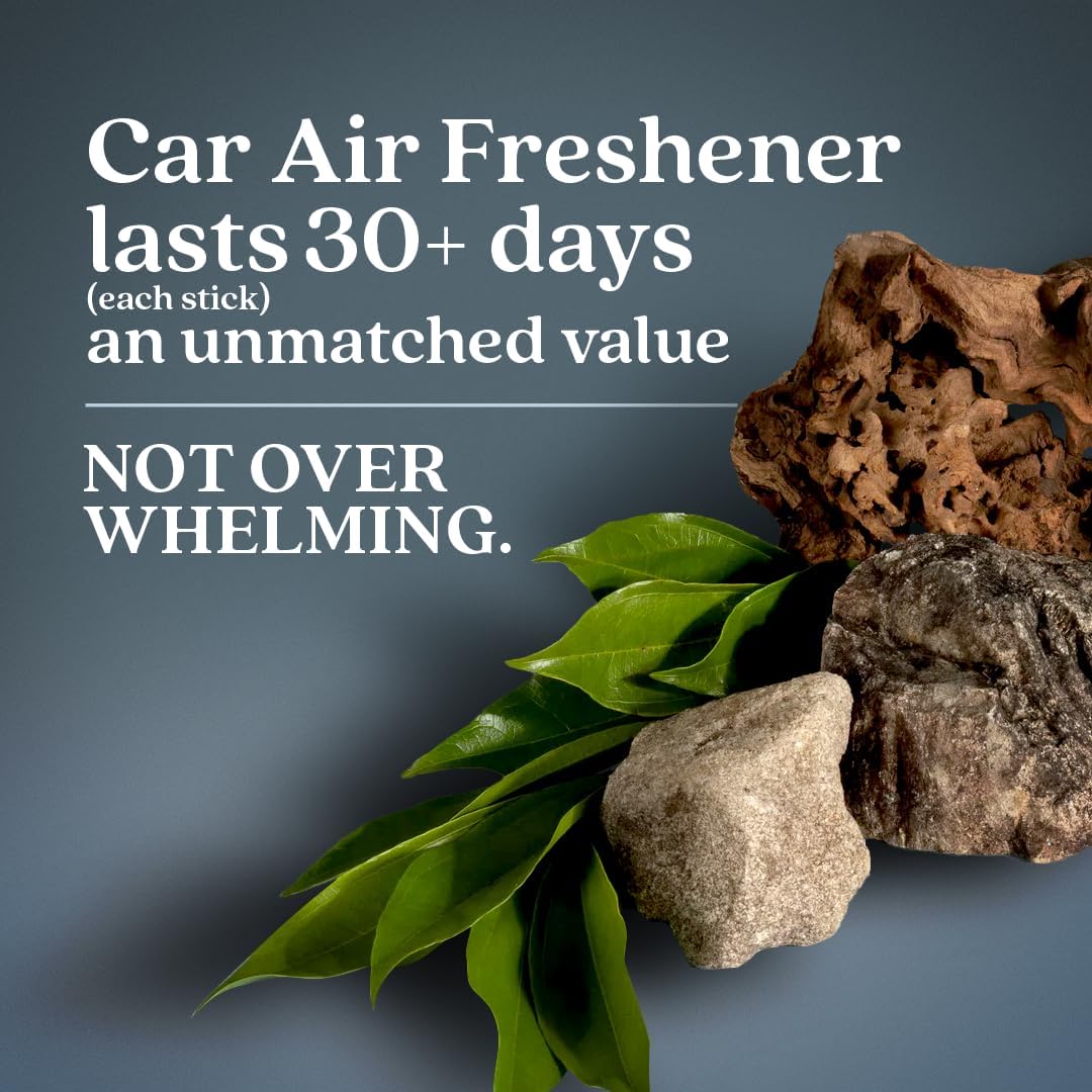 Enviroscent Non-Toxic Car Air Freshener (Coastal Storm & Teakwood) Natural Car Air Freshener | Essential Oil Diffuser | Car Scent Lasting Over 180 Days | 3 Packs of 2 Hanging Auto Stix