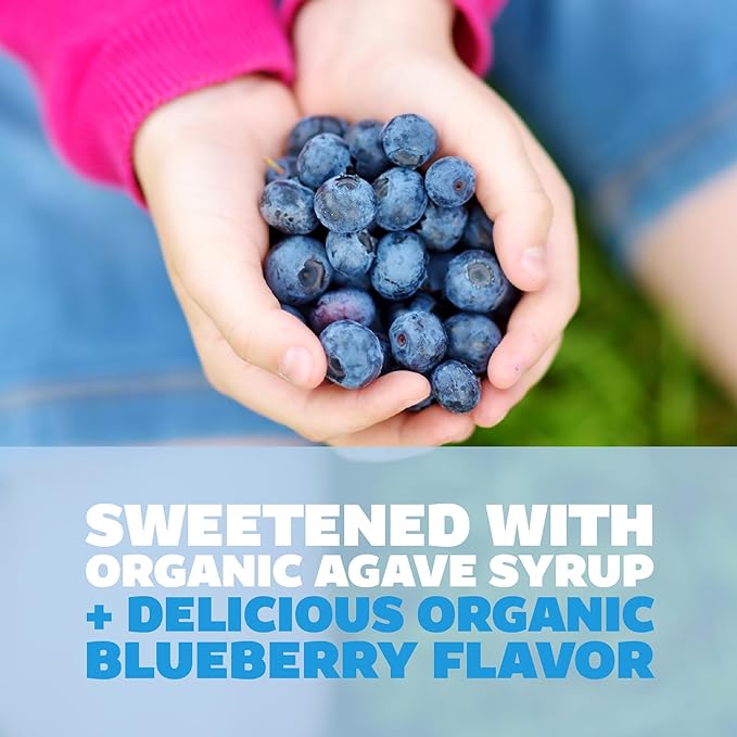 Genexa Clean Cold & Flu Relief, Dye Free, 0% Artificial Additives, Severe Daytime Medicine for Body Pain, Cough, Cold and Flu, Headache, Fever, Chest Congestion, Organic Blueberry Flavor, 6 fl oz